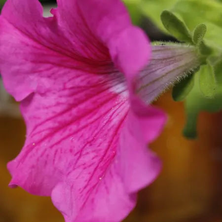 La Buona Creanza By Jdvacanze Manduria