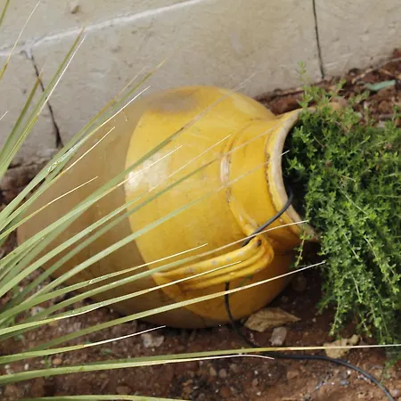 La Buona Creanza By Jdvacanze Alojamento de Acomodação e Pequeno-almoço 4*