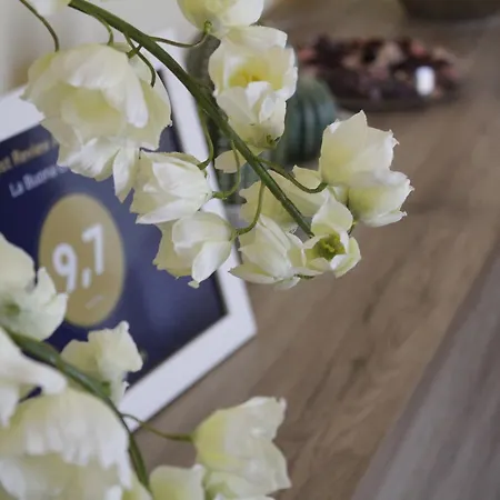 La Buona Creanza By Jdvacanze Alojamento de Acomodação e Pequeno-almoço Manduria