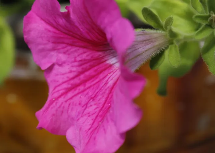 La Buona Creanza By Jdvacanze Manduria