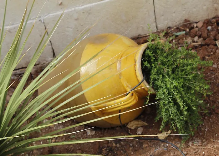 La Buona Creanza By Jdvacanze Nocleg ze śniadaniem 4*